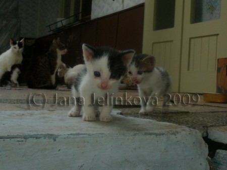 ...ten schod je ale vysoký...