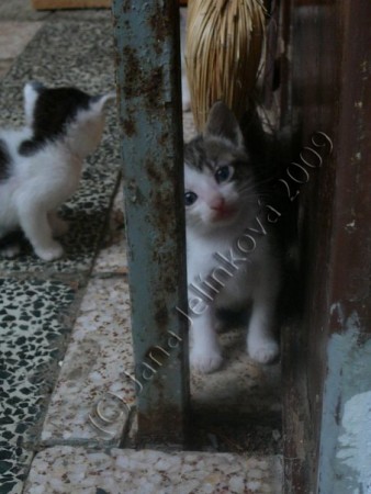 ...ja tu vôbec nie som...